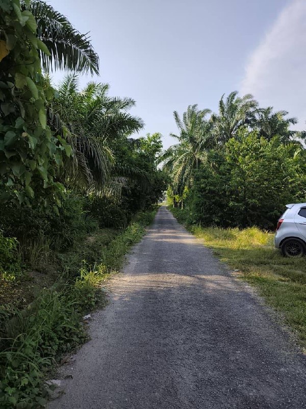 TAMAN SRI TANJUNG 📍 | CLUSTER 2 TINGKAT | CASHBACK RM12,000 | ZERO DEPOSIT | BOOKING 1K 22