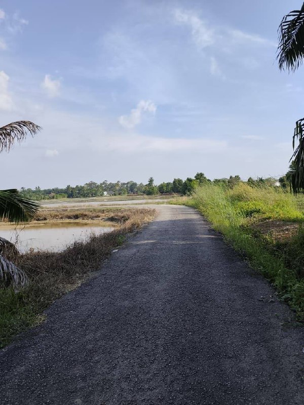 TAMAN SRI TANJUNG 📍 | CLUSTER 2 TINGKAT | CASHBACK RM12,000 | ZERO DEPOSIT | BOOKING 1K 23