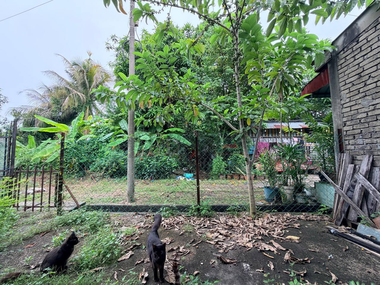 TAMAN PELANGI 📍 | TERES SETINGKAT | CASHBACK RM20,000 | ZERO DEPOSIT | BOOKING 1K 9