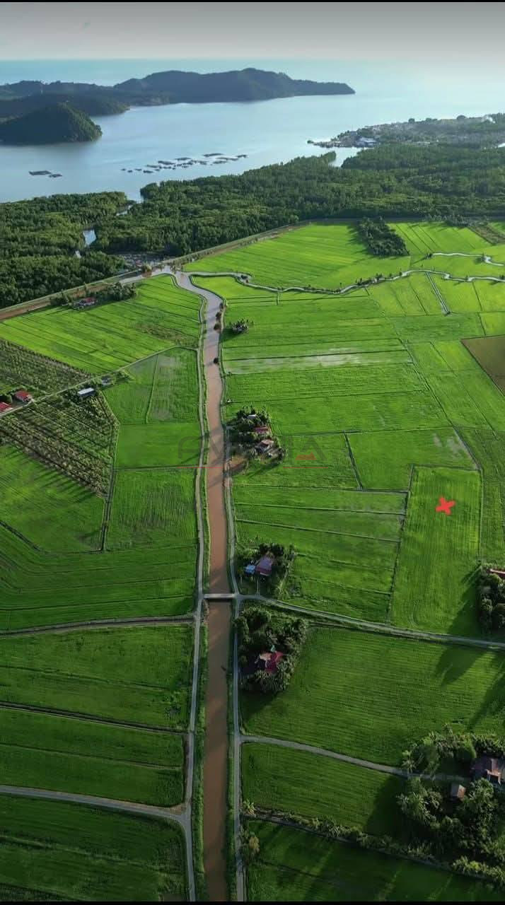 SUNGAI PIAL 📍 | TANAH PERTANIAN | CASHBACK RM25,000 | ZERO DEPOSIT | BOOKING 1K